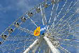wpe5385cce_0f.jpg