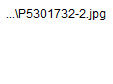 wpf2b09936_0f.jpg